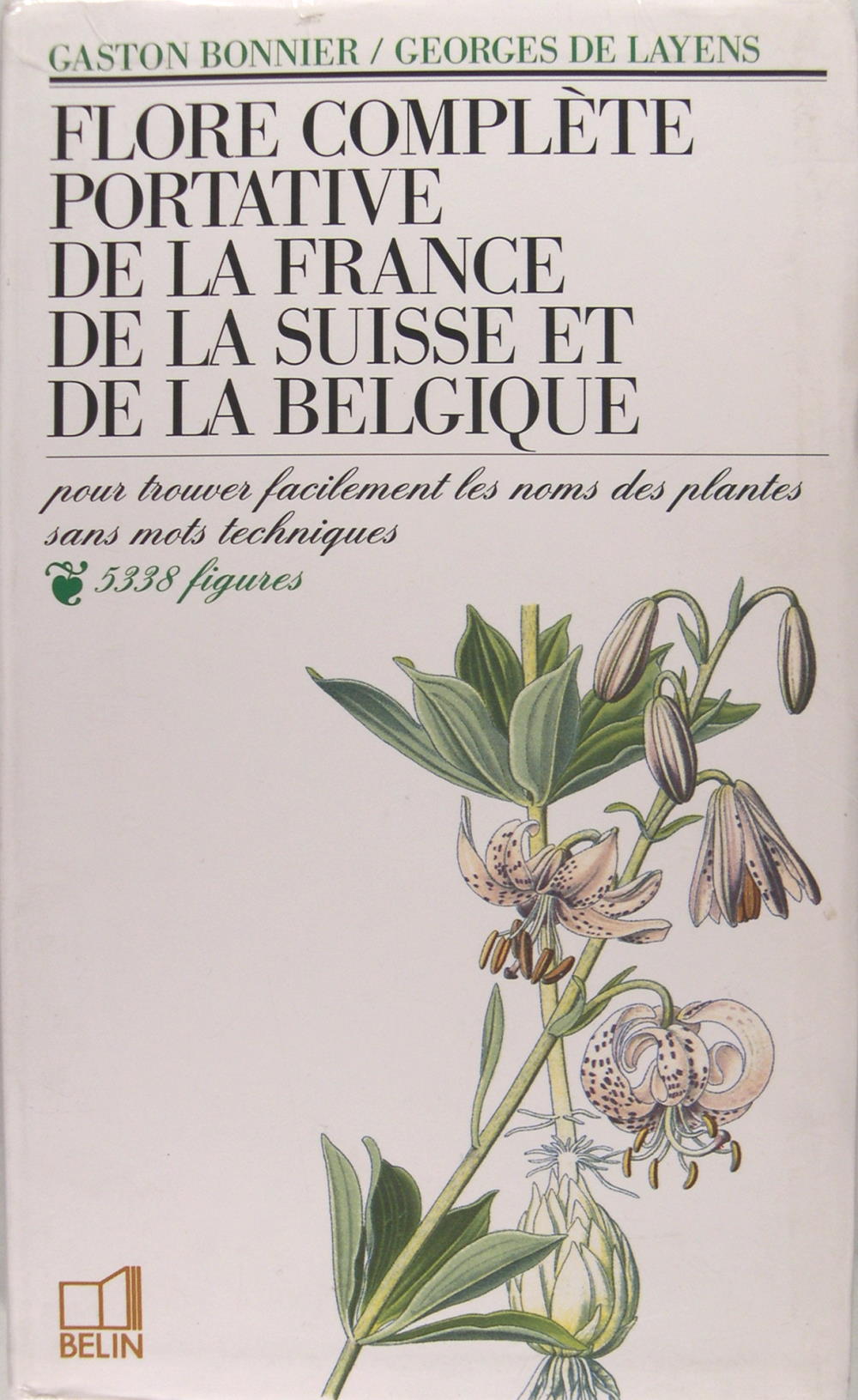 Planche ancienne Botanique art print map Poster Flore p 61 Millepertuis Perforé 